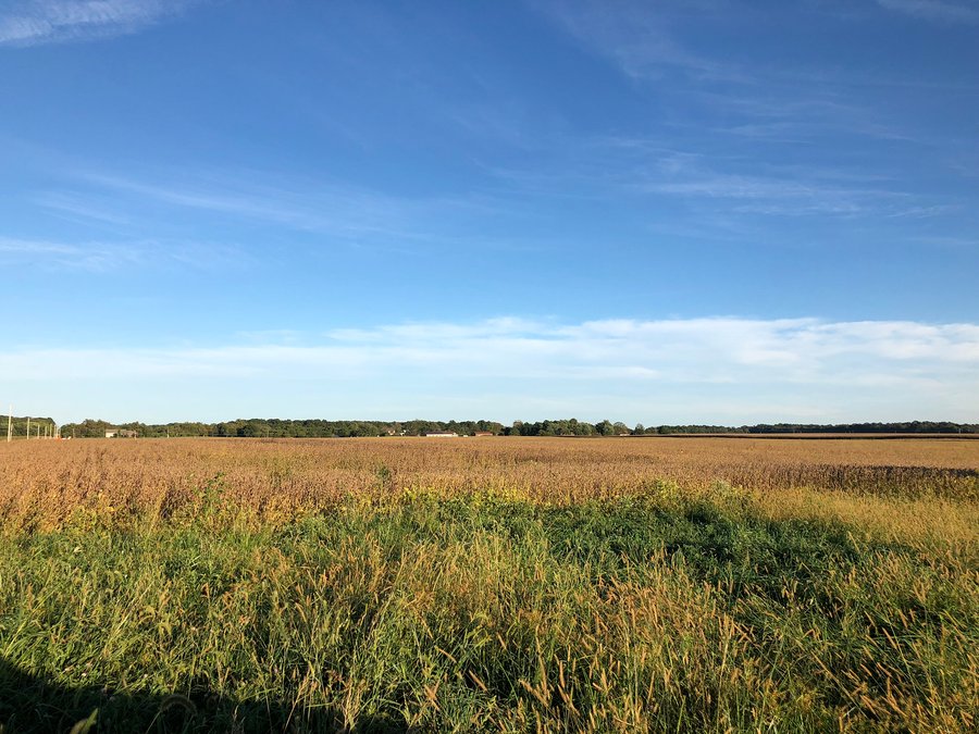 MAJOR LAND AUCTION - 1,085+/- ACRES IN 24 TRACTS IN HENRY & WAYNE COUNTIES, INDIANA